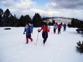 photo coins arrondis